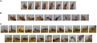 Kernel Density Estimation of Electromyographic Signals and Ensemble Learning for Highly Accurate Classification of a Large Set of Hand/Wrist Motions